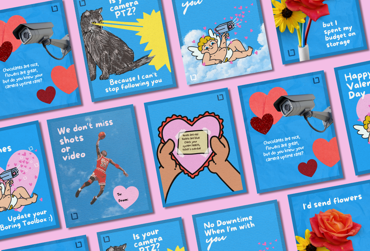 CCTV Security Valentine’s Day Cards